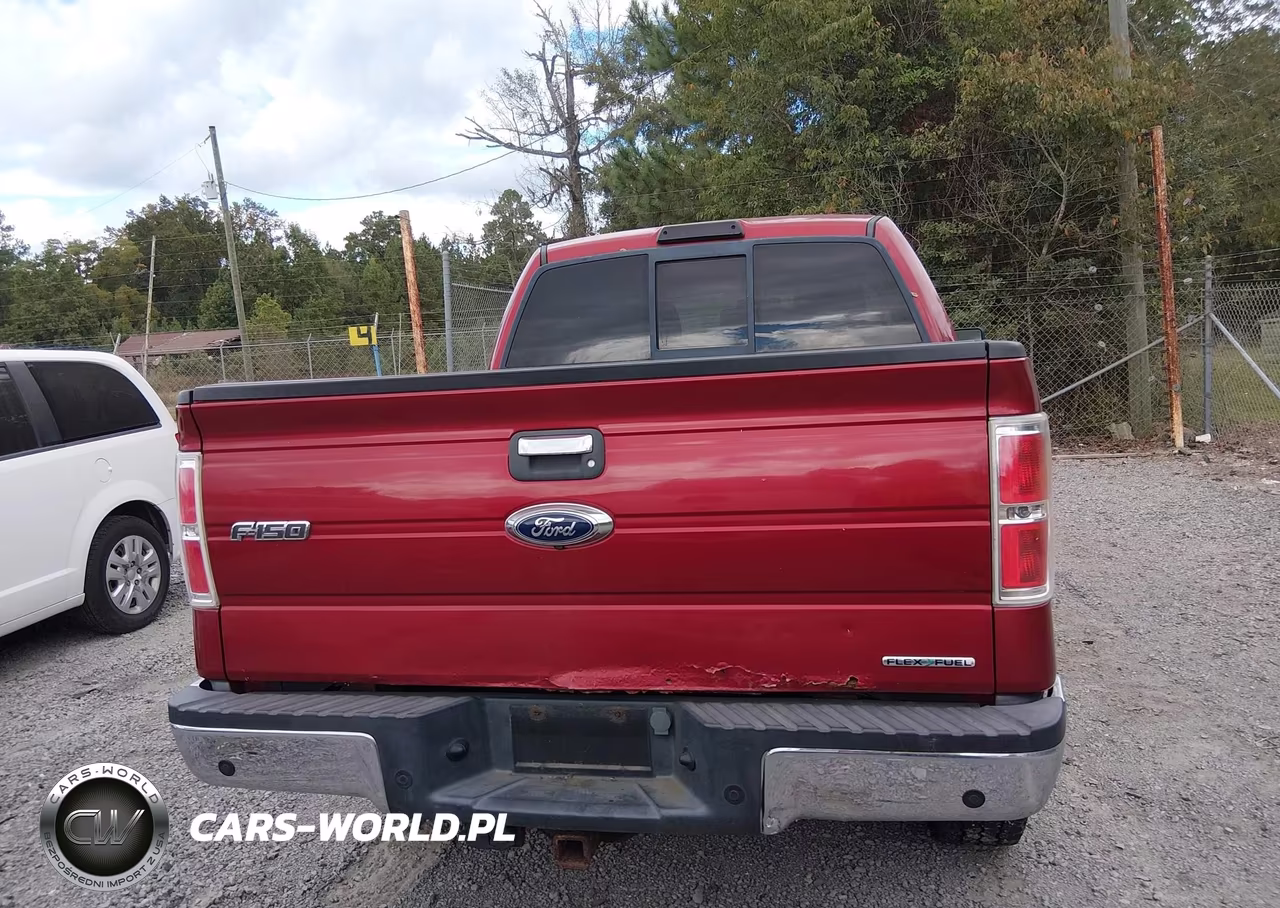 2013 Ford F-150 Xlt VIN:1FTFW1EF1DFC70434 - 16