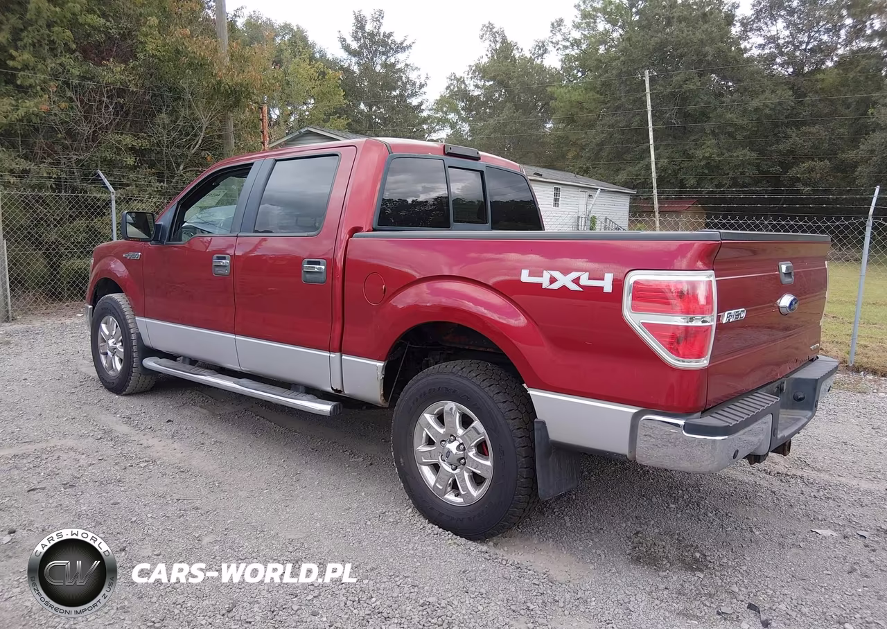 2013 Ford F-150 Xlt VIN:1FTFW1EF1DFC70434 - 3