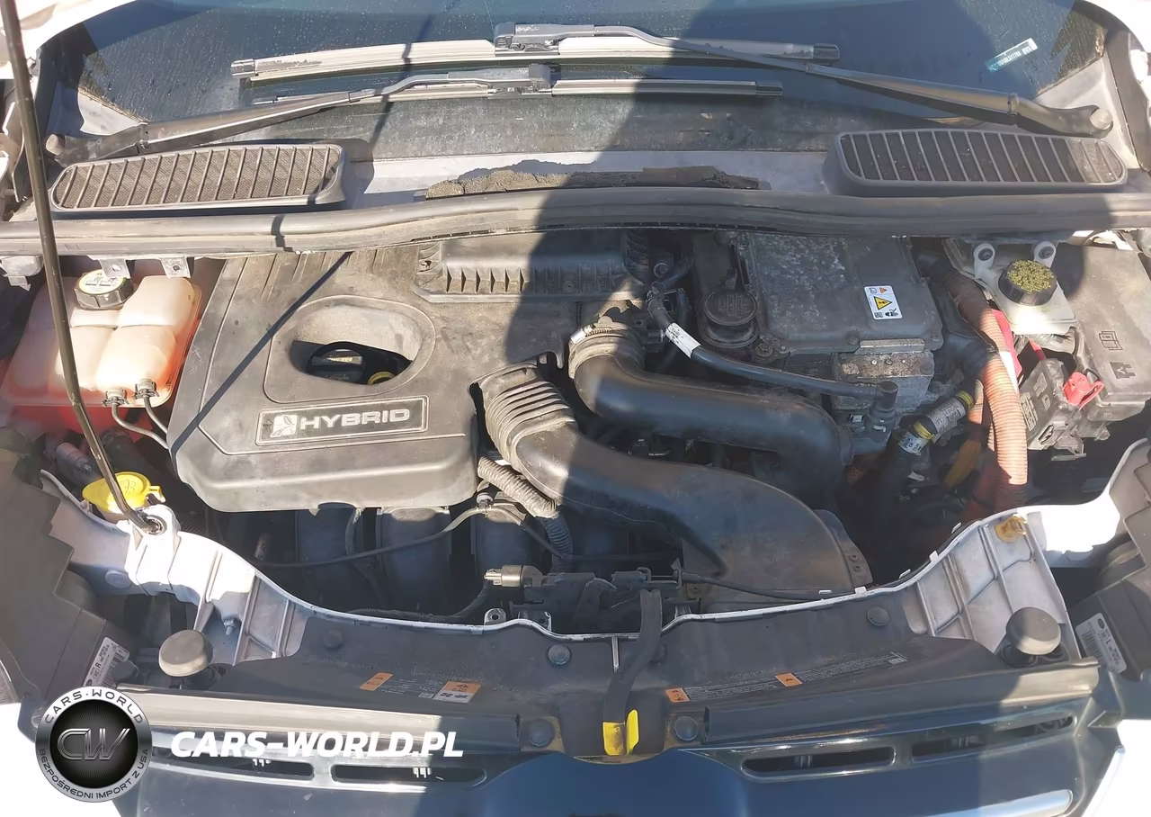 2013 Ford C-Max Hybrid Sel VIN:1FADP5BU1DL511768 - 10
