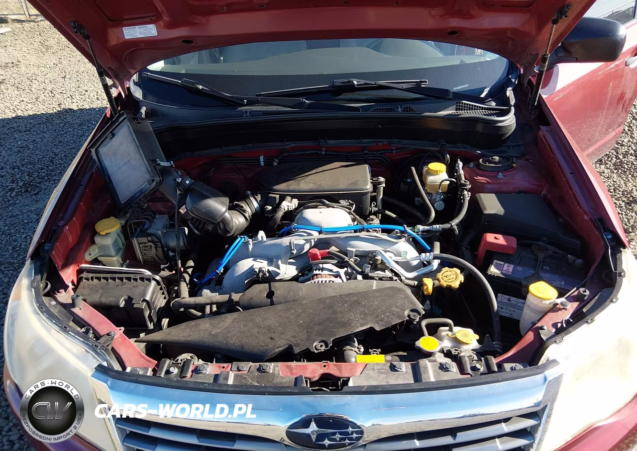 2010 Subaru Forester 2.5X VIN:JF2SH6AC0AH744103 - 10