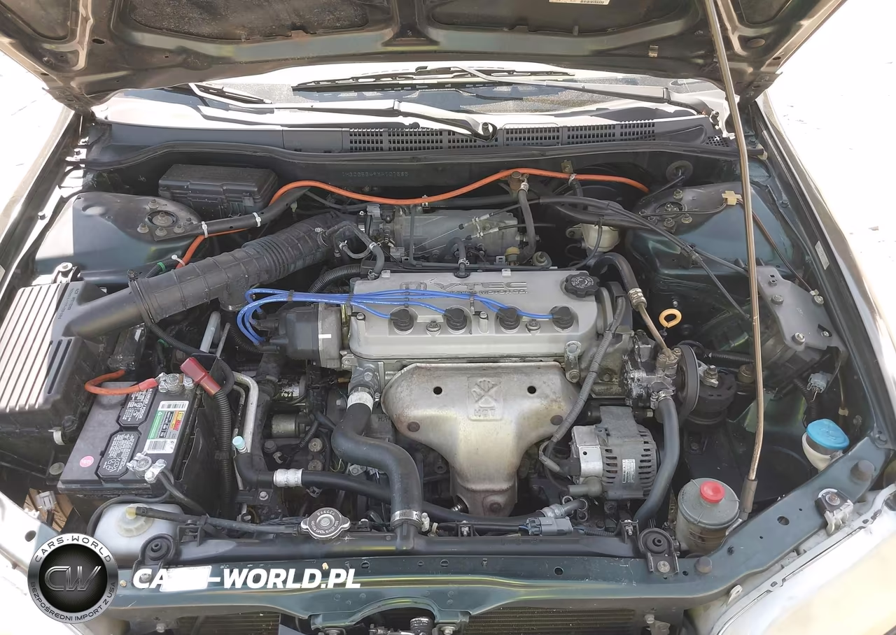 1999 Honda Accord Lx VIN:1HGCG5649XA107585 - 10