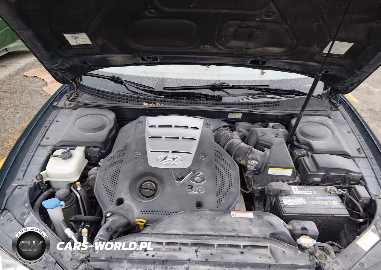 2006 Hyundai Azera Limited-Se VIN:KMHFC46F26A092618 - 10