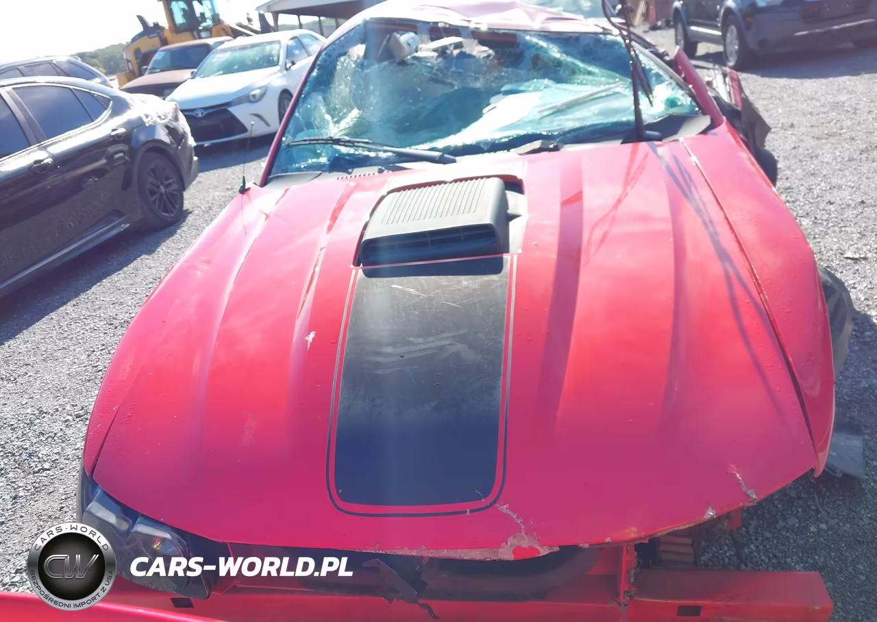 2004 Ford Mustang Mach 1 VIN:1FAFP42R64F170834 - 12