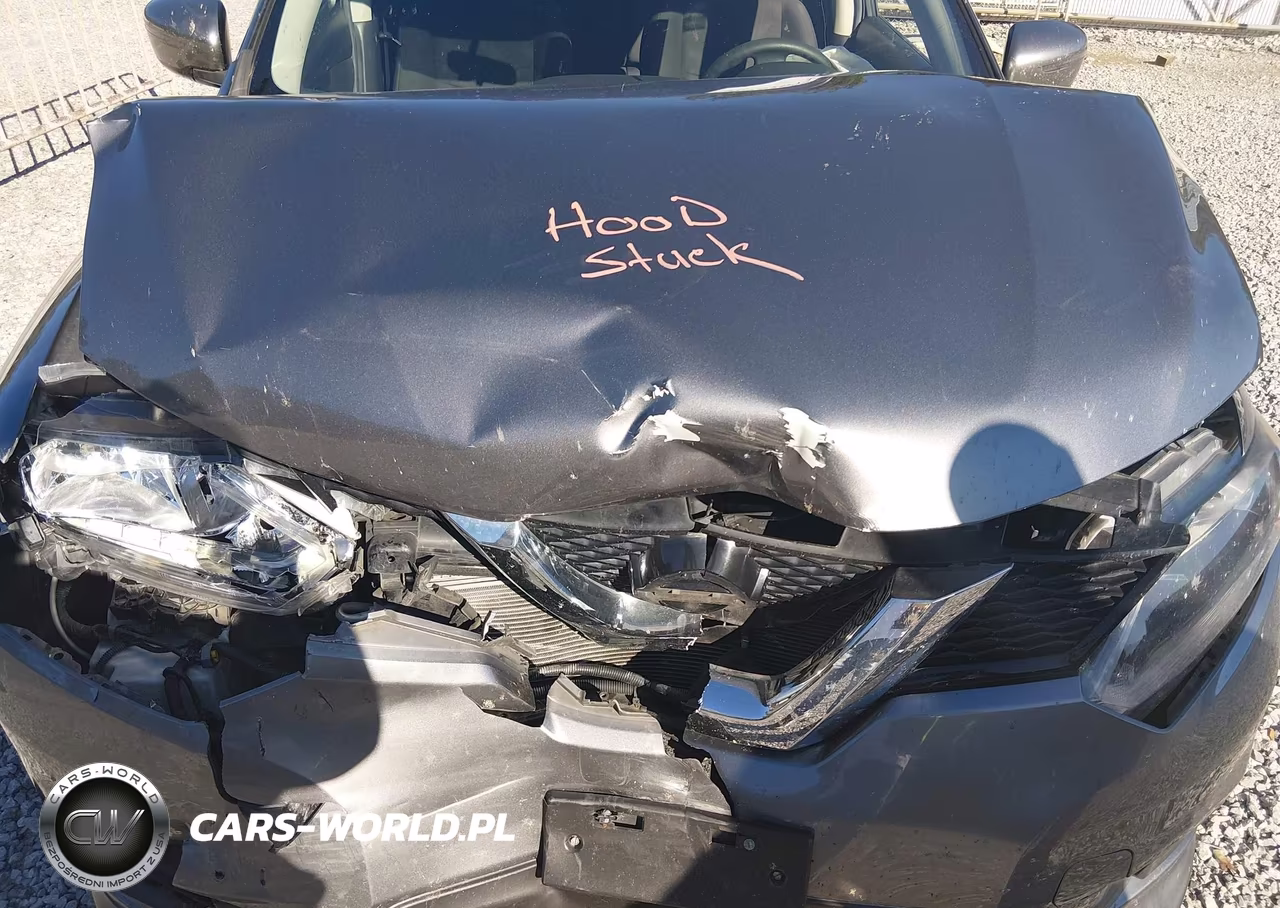2016 Nissan Rogue Sv VIN:KNMAT2MV8GP677411 - 10