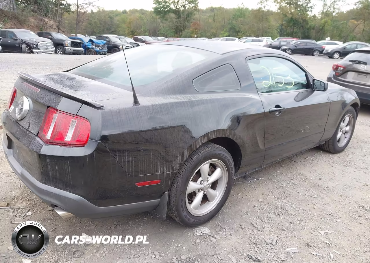 2012 Ford Mustang V6 Premium VIN:1ZVBP8AM6C5242736 - 4