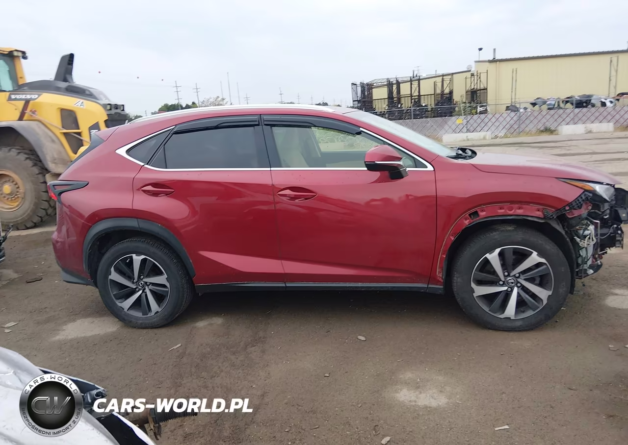 2019 Lexus Nx 300 VIN:JTJBARBZ3K2189530 - 13