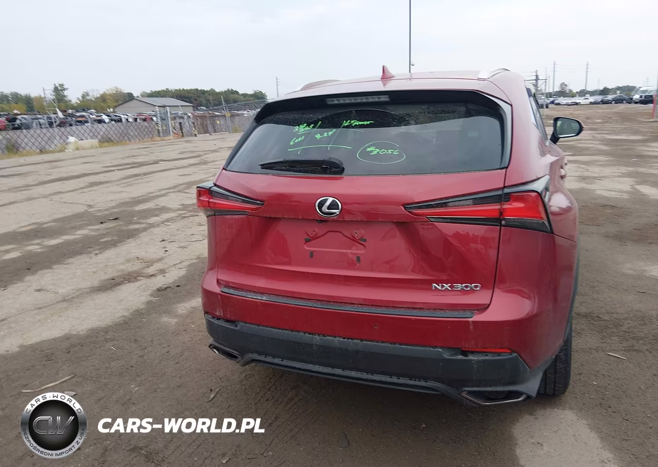 2019 Lexus Nx 300 VIN:JTJBARBZ3K2189530 - 16