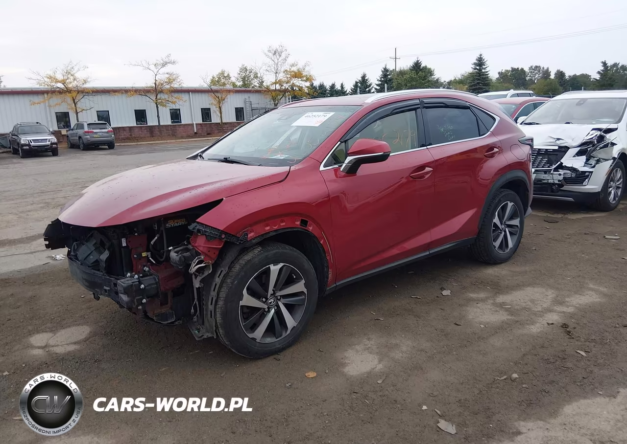 2019 Lexus Nx 300 VIN:JTJBARBZ3K2189530 - 2