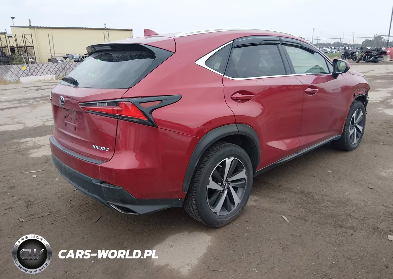 2019 Lexus Nx 300 VIN:JTJBARBZ3K2189530 - 4