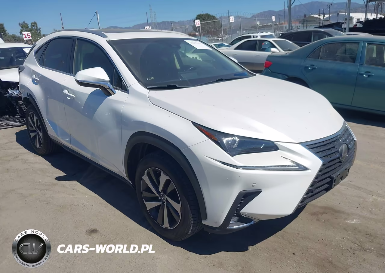 2019 Lexus Nx 300H