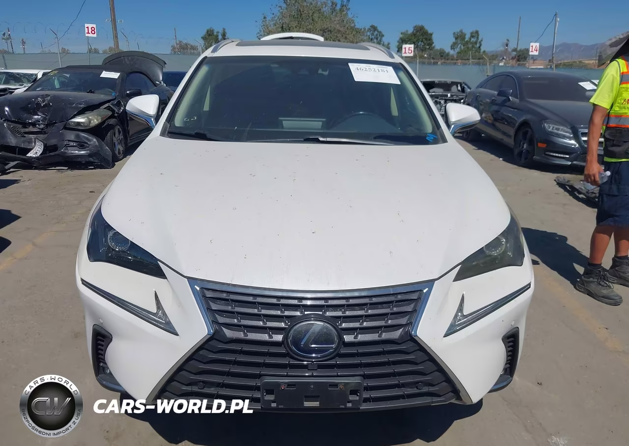 2019 Lexus Nx 300H VIN:JTJBJRBZ8K2101944 - 13