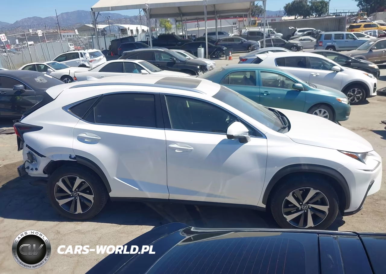 2019 Lexus Nx 300H VIN:JTJBJRBZ8K2101944 - 14