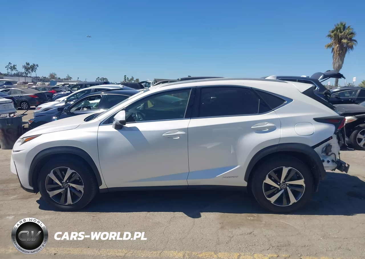 2019 Lexus Nx 300H VIN:JTJBJRBZ8K2101944 - 15