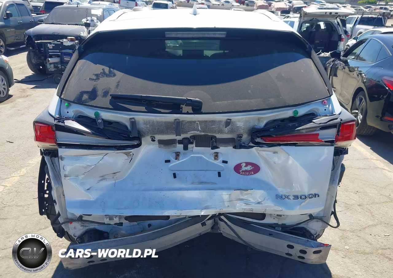 2019 Lexus Nx 300H VIN:JTJBJRBZ8K2101944 - 17