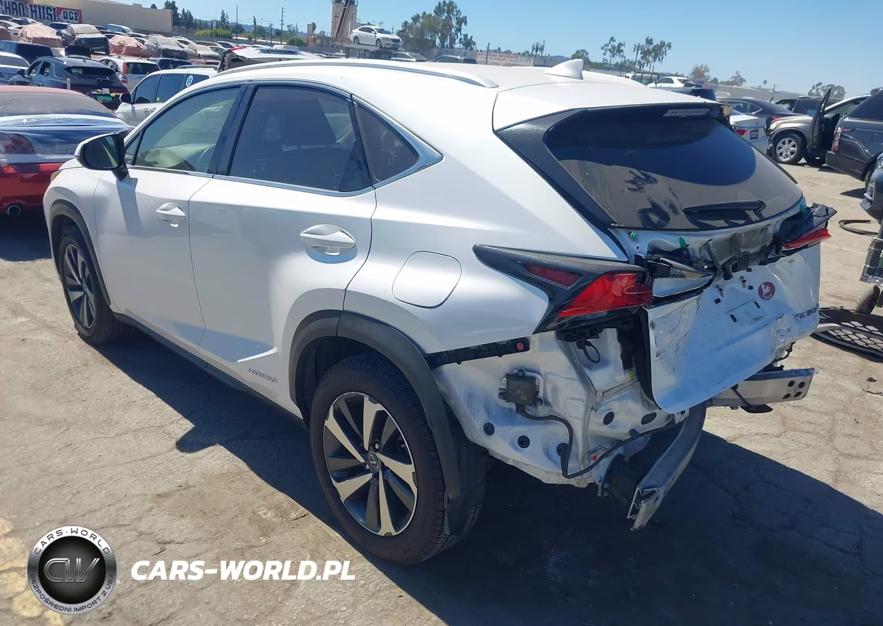 2019 Lexus Nx 300H VIN:JTJBJRBZ8K2101944 - 3