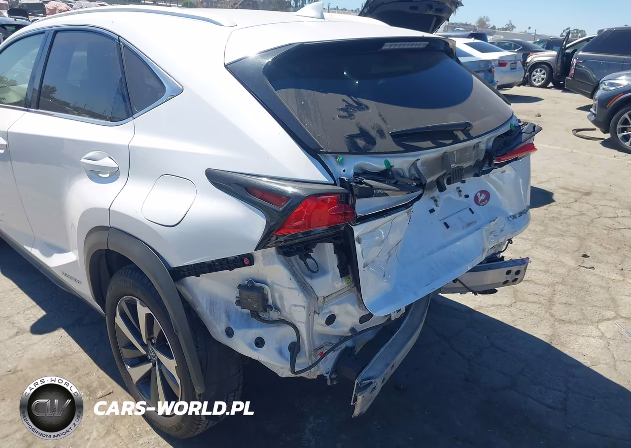 2019 Lexus Nx 300H VIN:JTJBJRBZ8K2101944 - 6