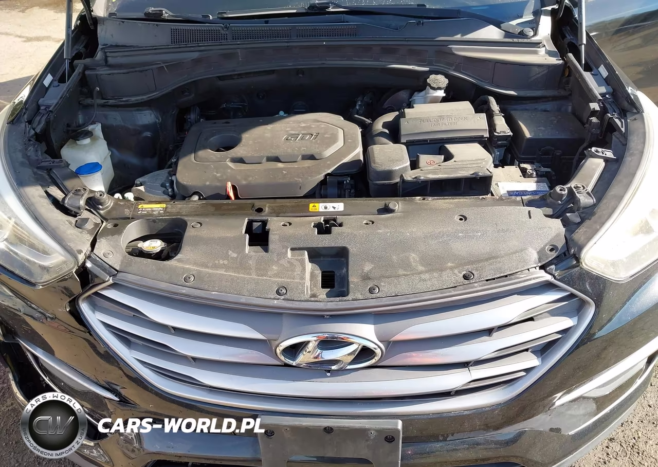 2017 Hyundai Santa Fe Sport 2.4L VIN:5XYZTDLB8HG405337 - 10