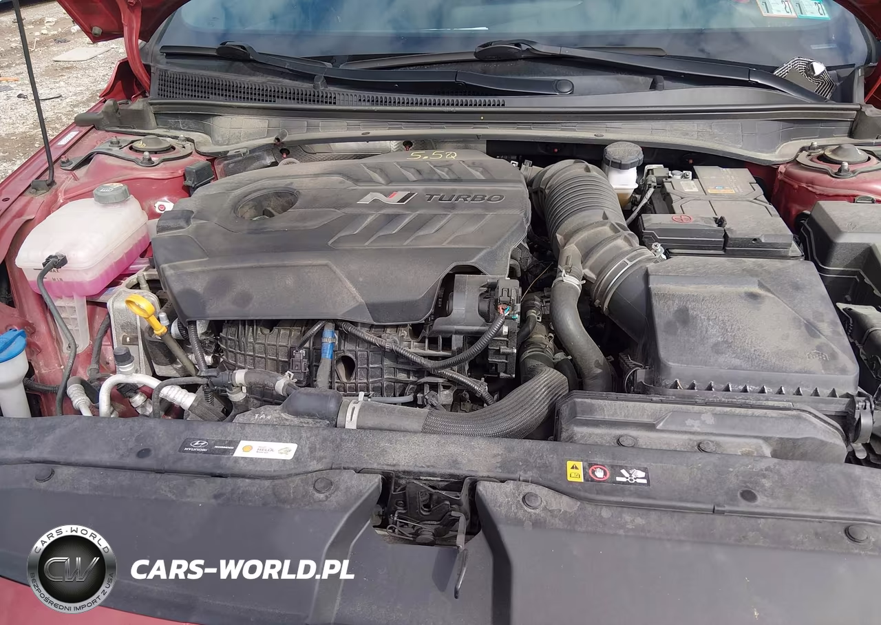 2024 Hyundai Elantra N VIN:KMHLW4DK5RU020373 - 10