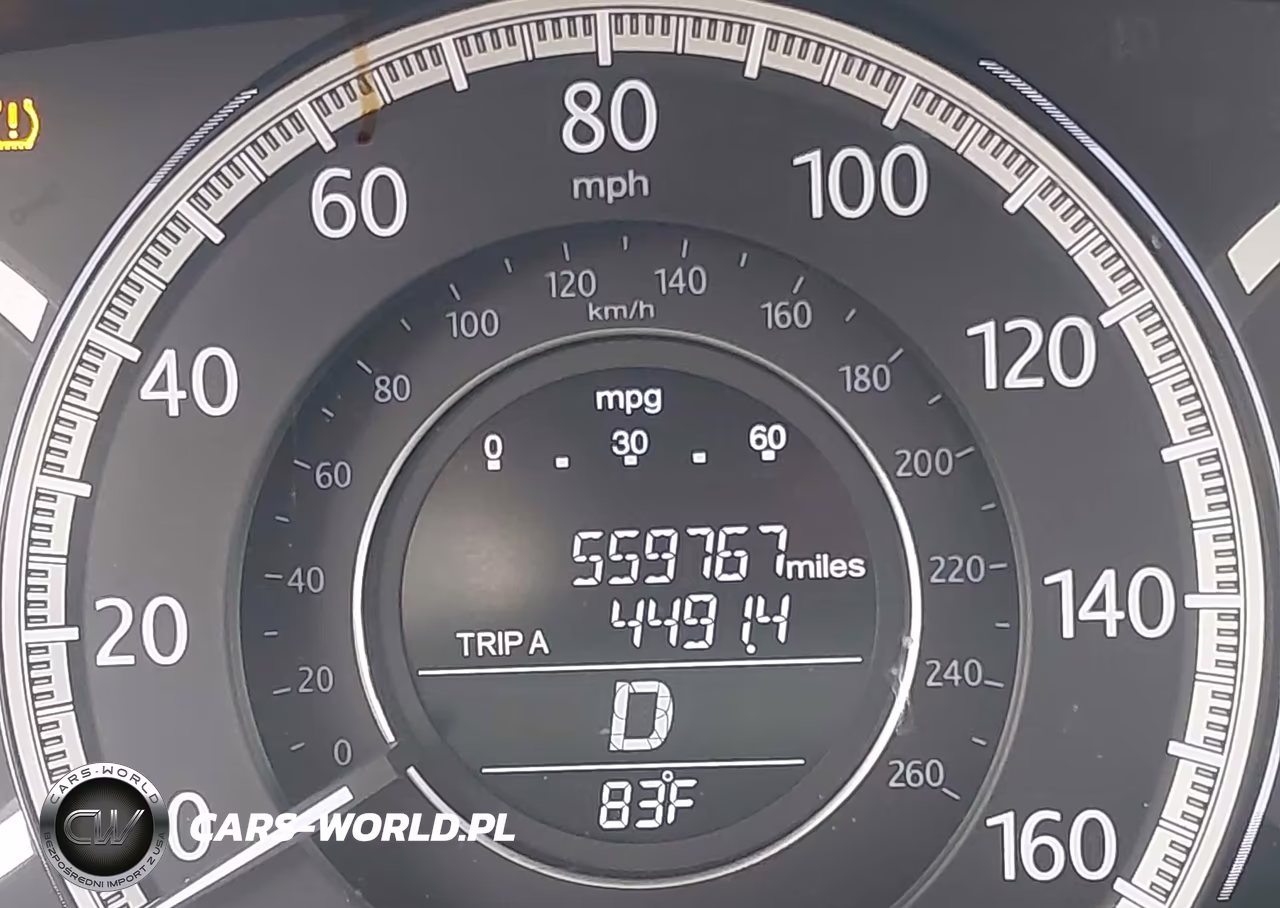 2013 Honda Accord Ex-L VIN:1HGCR2F82DA138555 - 16