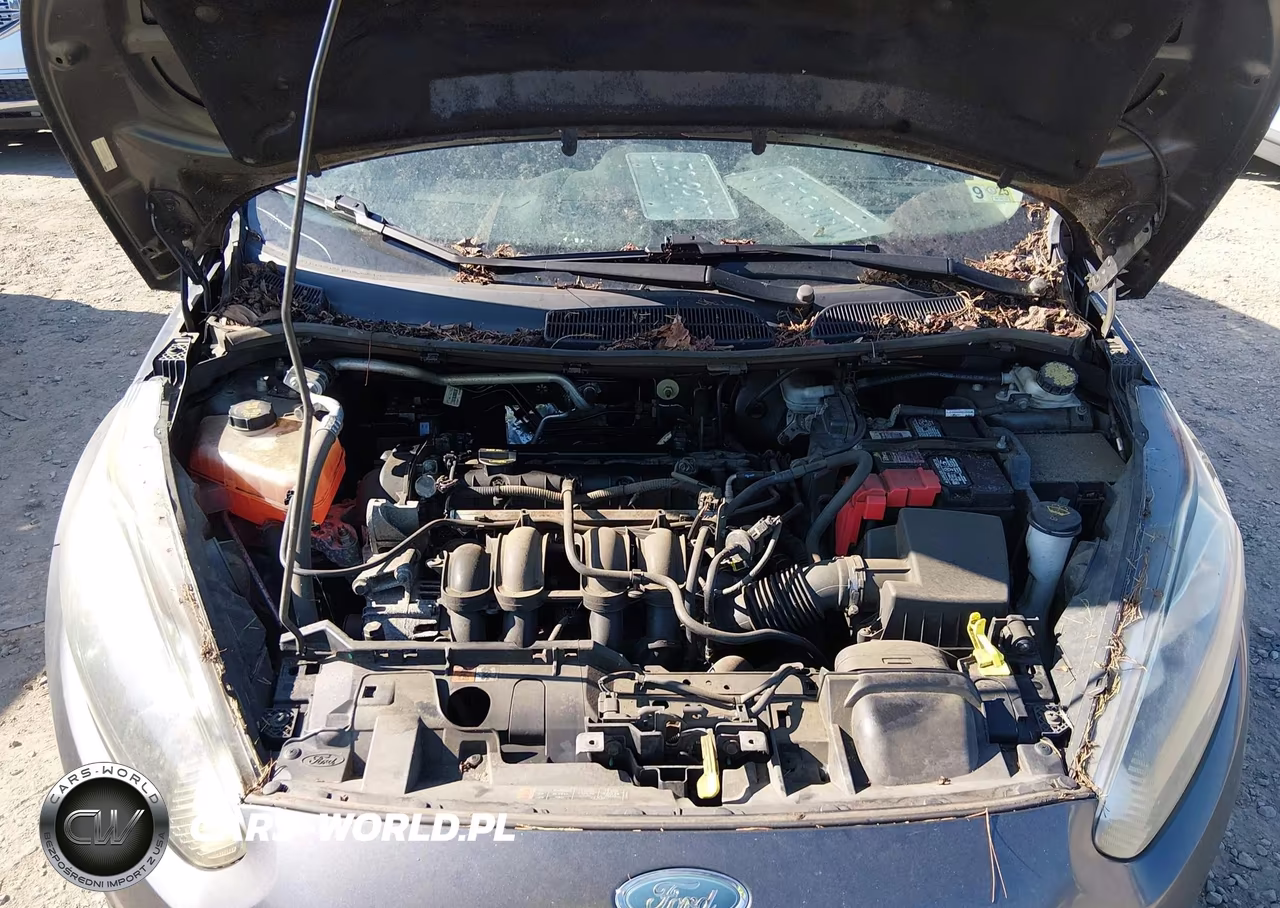 2015 Ford Fiesta Se VIN:3FADP4BJ1FM144999 - 10