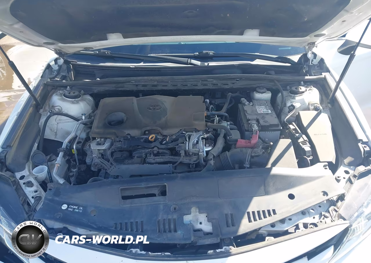 2020 Toyota Camry Le VIN:4T1C11AK0LU383205 - 10