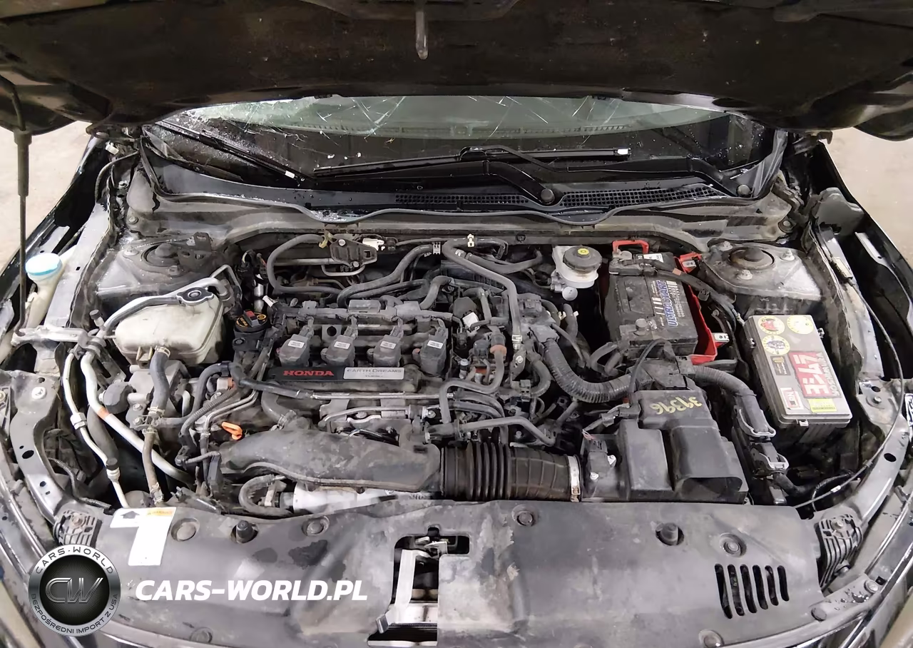 HONDA CIVIC VIN:19XFC1F31LE002084 - 10