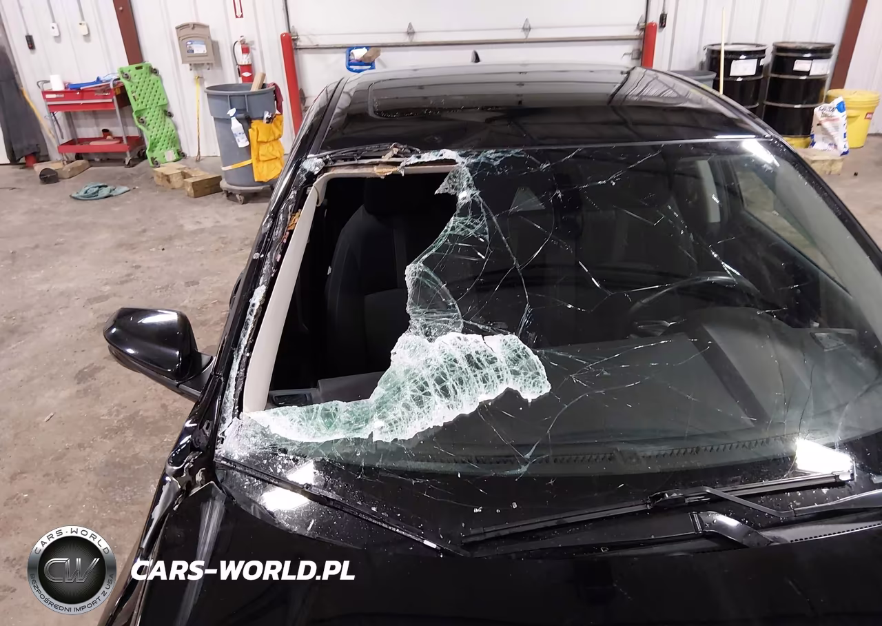 HONDA CIVIC VIN:19XFC1F31LE002084 - 18
