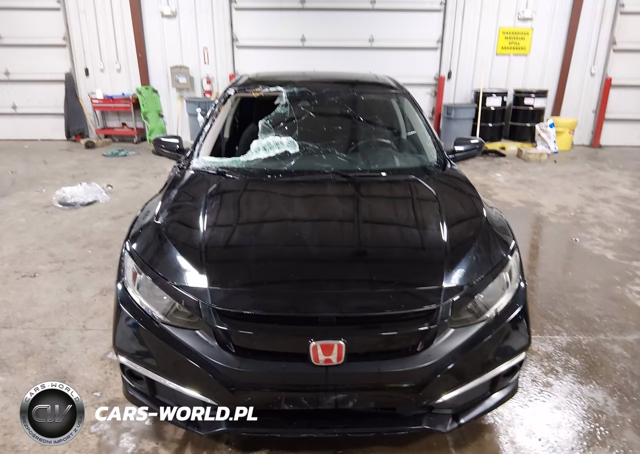 HONDA CIVIC VIN:19XFC1F31LE002084 - 6