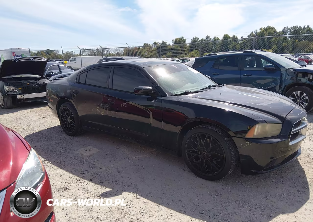2013 Dodge Charger Sxt VIN:2C3CDXJG0DH702122 - 13