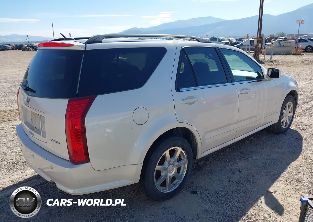 2005 Cadillac Srx V6 VIN:1GYEE637X50229225 - 4