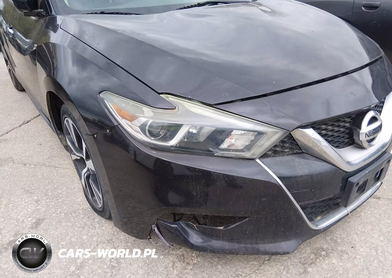 2016 Nissan Maxima VIN:1N4AA6AP0GC396011 - 13