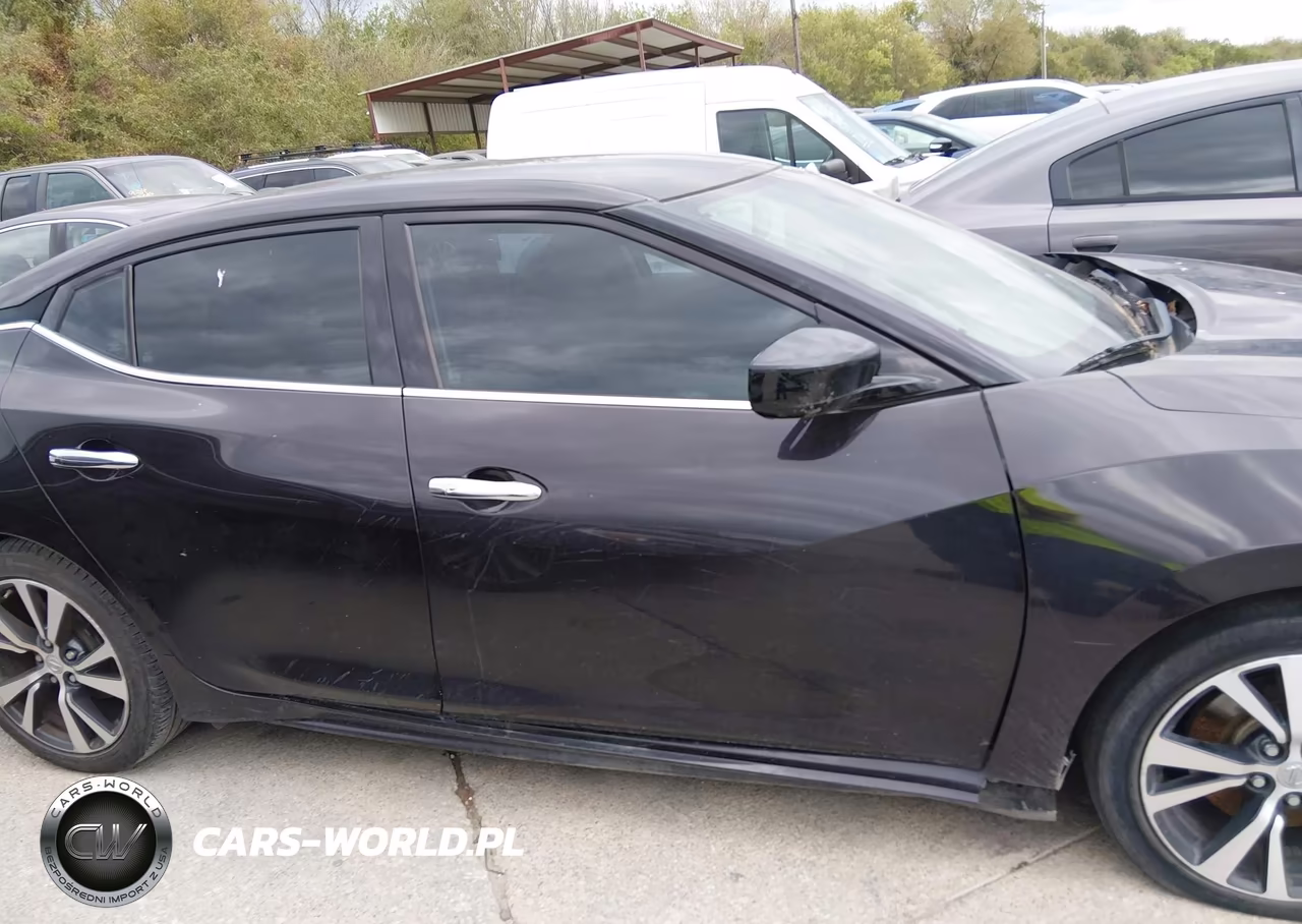 2016 Nissan Maxima VIN:1N4AA6AP0GC396011 - 18