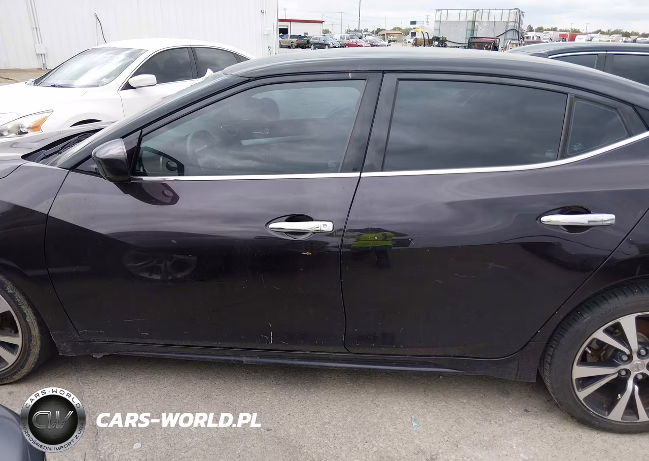 2016 Nissan Maxima VIN:1N4AA6AP0GC396011 - 19