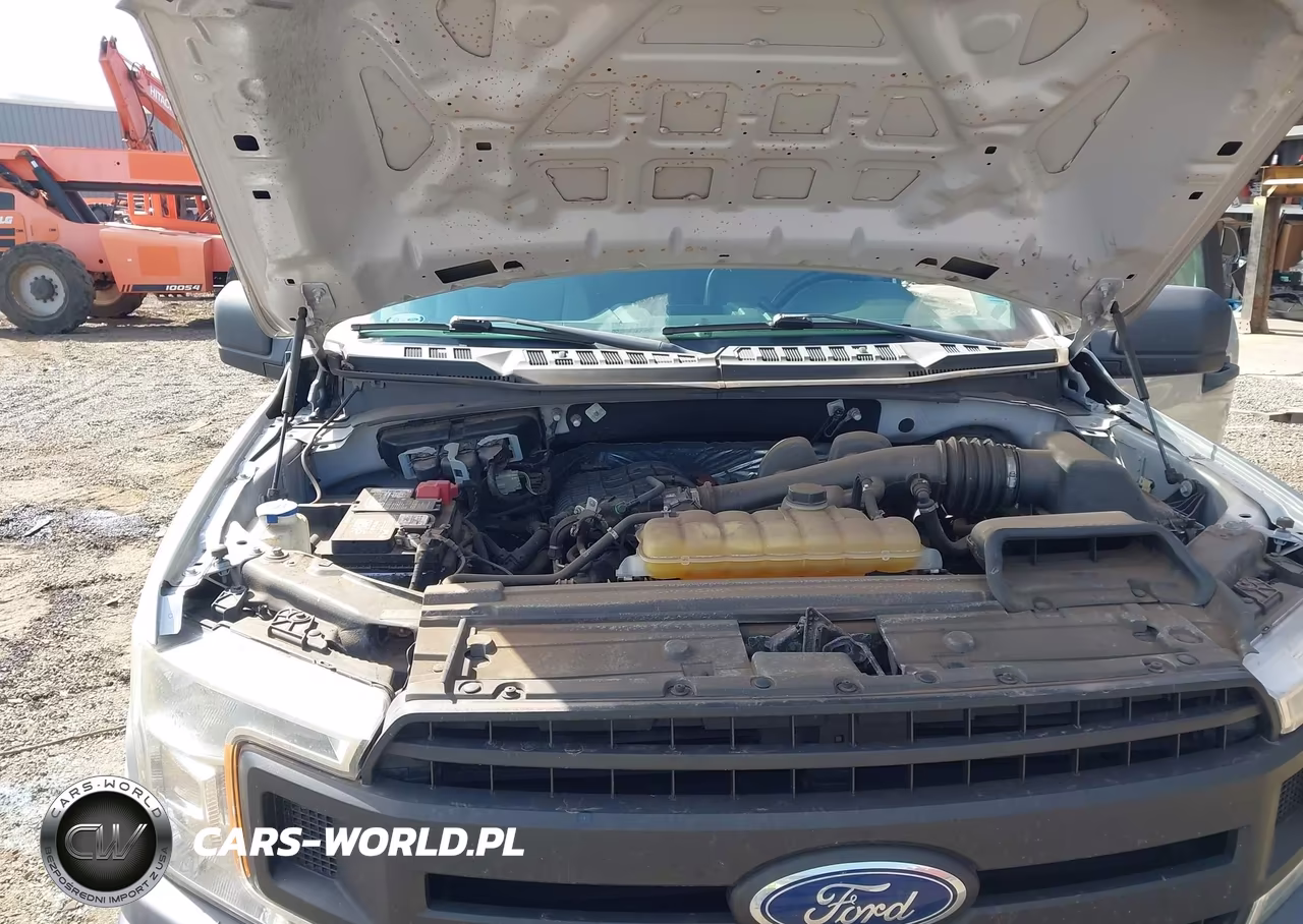 2019 Ford F-150 Xl VIN:1FTEX1CB3KKD18058 - 10
