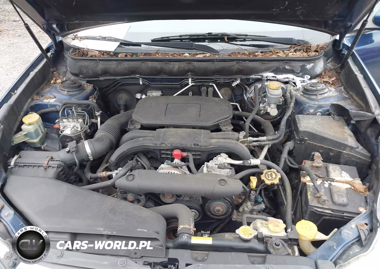 2010 Subaru Outback 2.5I Limited VIN:4S4BRBJC8A3355514 - 10