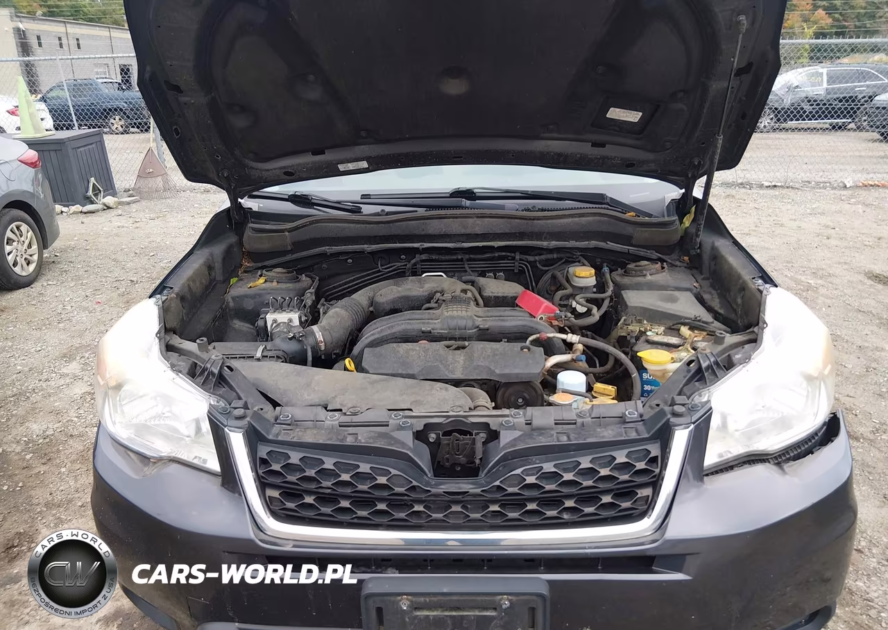 2014 Subaru Forester 2.5I VIN:JF2SJAAC3EH431866 - 10