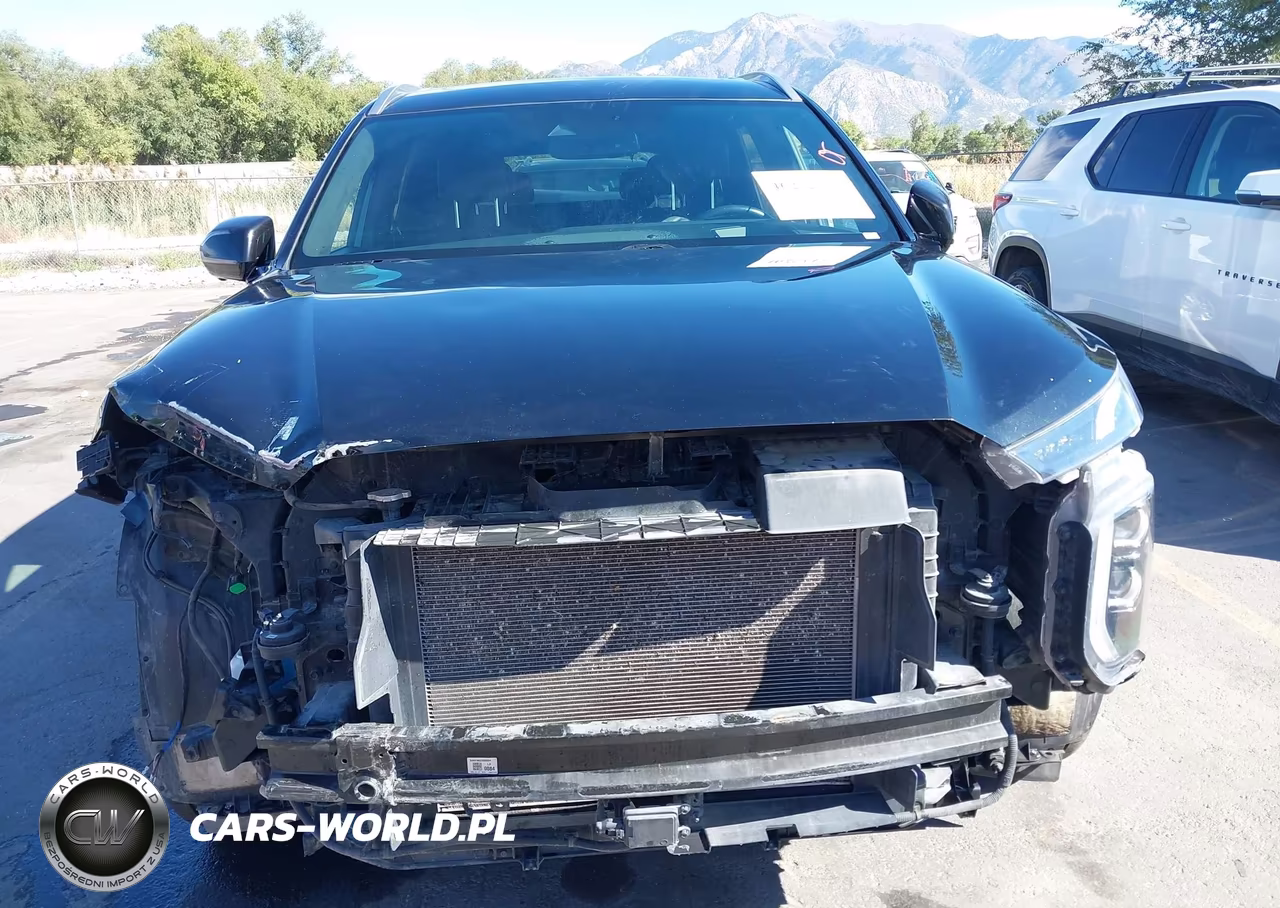 2020 Hyundai Palisade Limited VIN:KM8R5DHE4LU158205 - 13