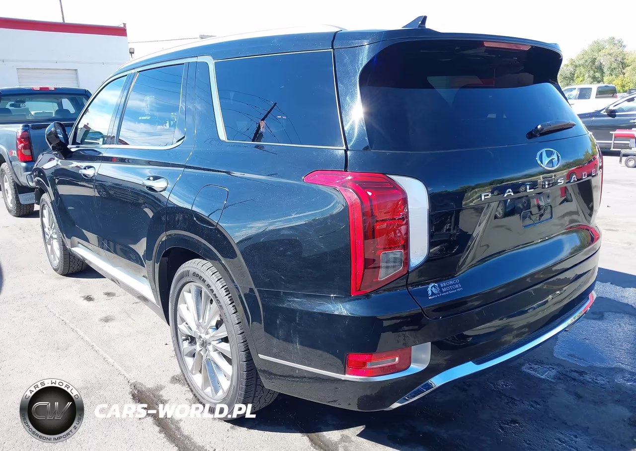 2020 Hyundai Palisade Limited VIN:KM8R5DHE4LU158205 - 3