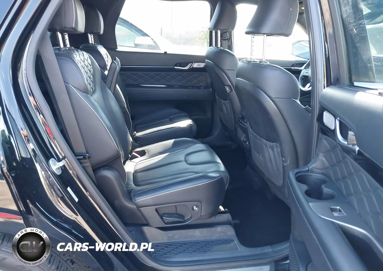 2020 Hyundai Palisade Limited VIN:KM8R5DHE4LU158205 - 8