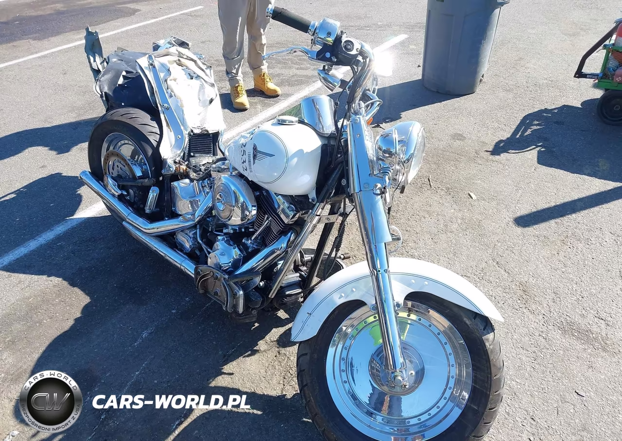2004 Harley-Davidson Flstfi