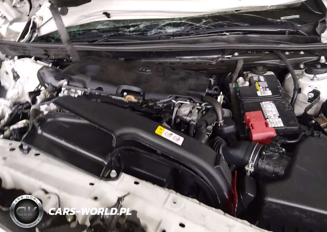 2019 Toyota Camry Se VIN:4T1B11HK6KU732125 - 10