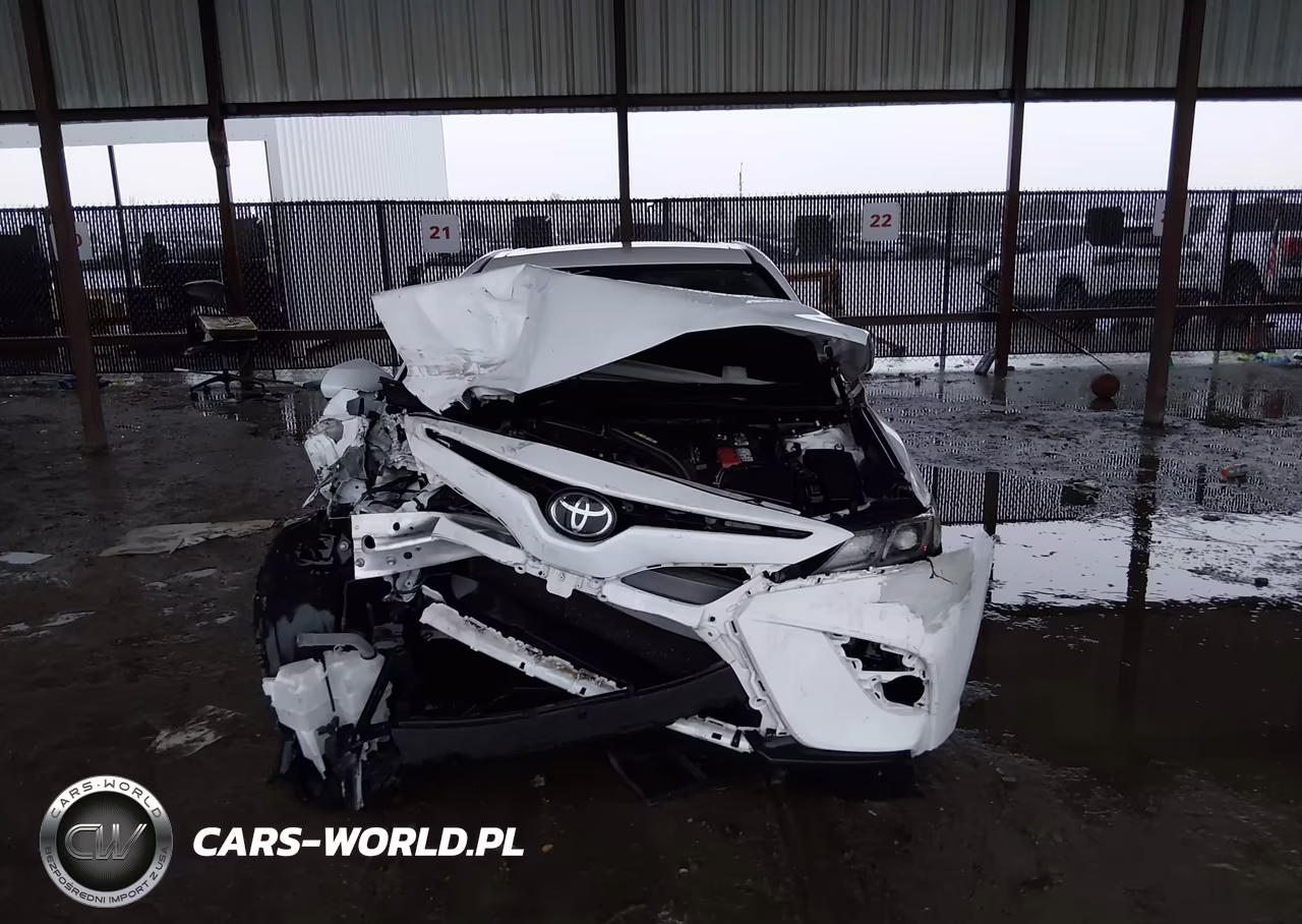 2019 Toyota Camry Se VIN:4T1B11HK6KU732125 - 12