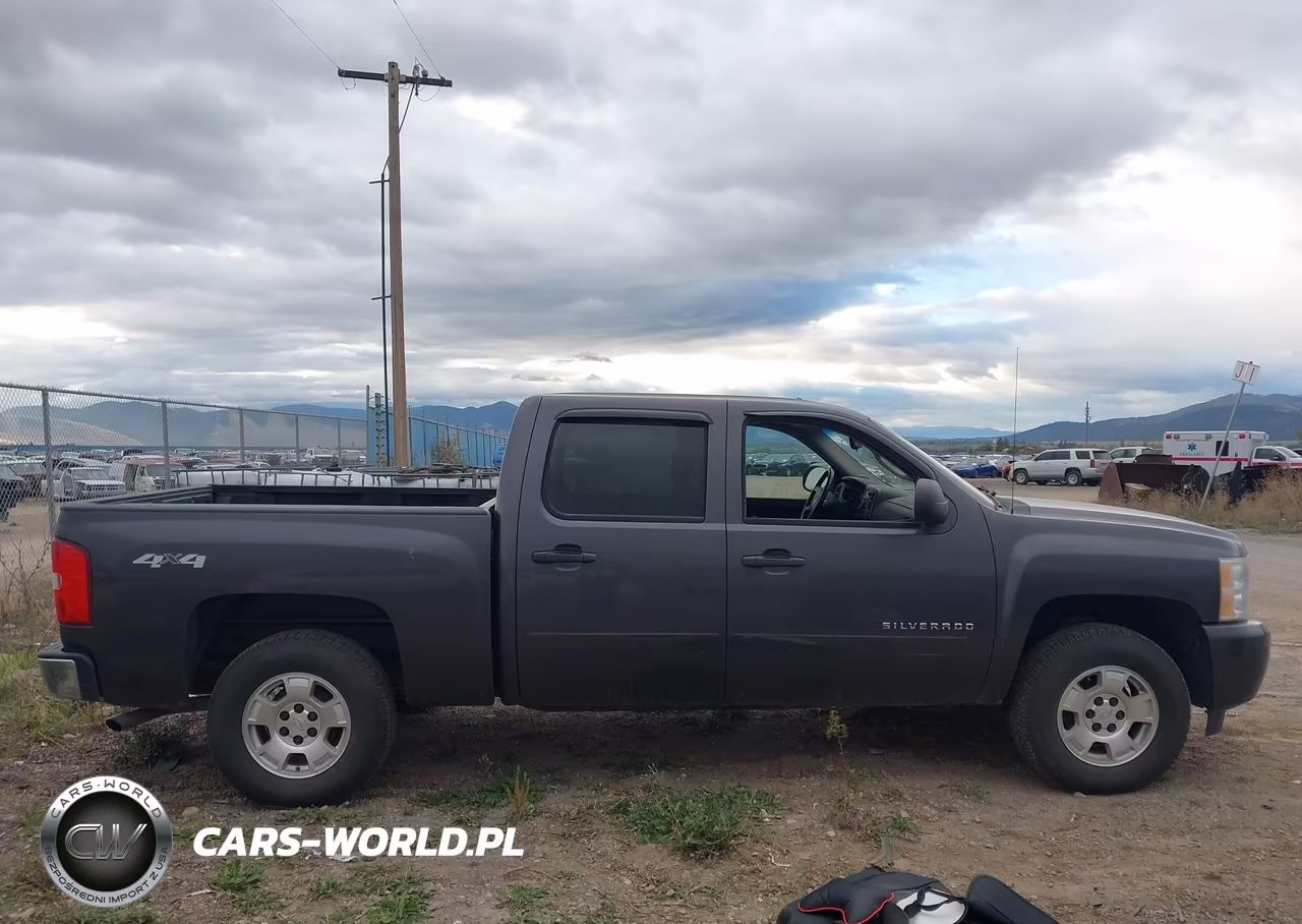 2010 Chevrolet Silverado 1500 Lt VIN:3GCRKSE31AG266656 - 13