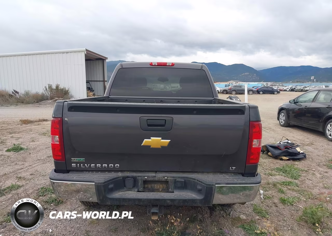 2010 Chevrolet Silverado 1500 Lt VIN:3GCRKSE31AG266656 - 16