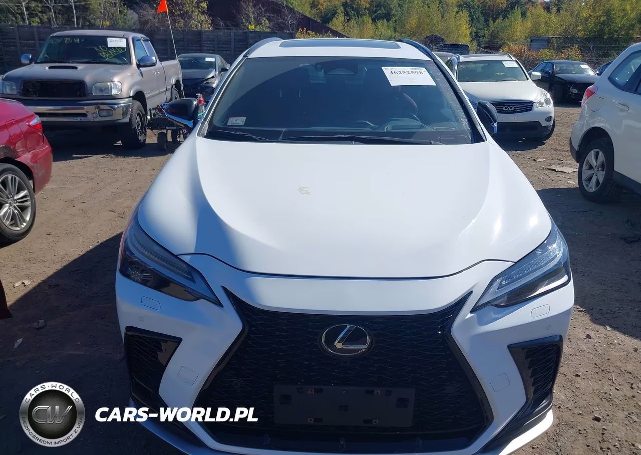 2024 Lexus Nx 450H Luxury VIN:JTJKKCFZ2R2026396 - 12