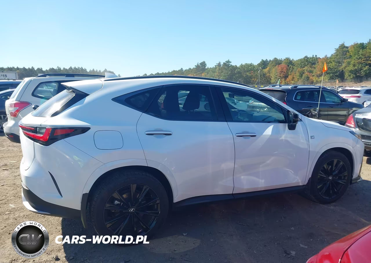 2024 Lexus Nx 450H Luxury VIN:JTJKKCFZ2R2026396 - 13