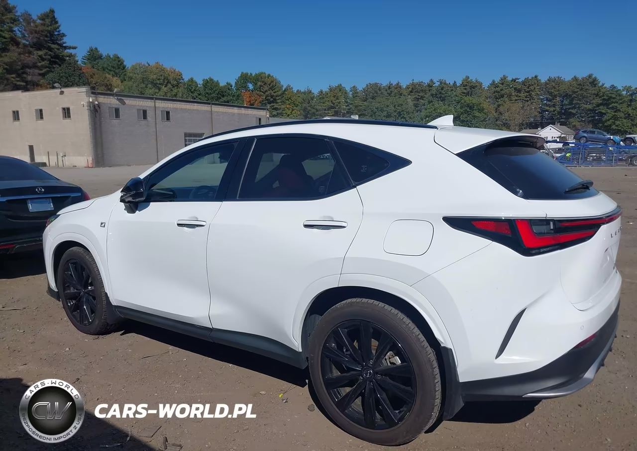 2024 Lexus Nx 450H Luxury VIN:JTJKKCFZ2R2026396 - 14