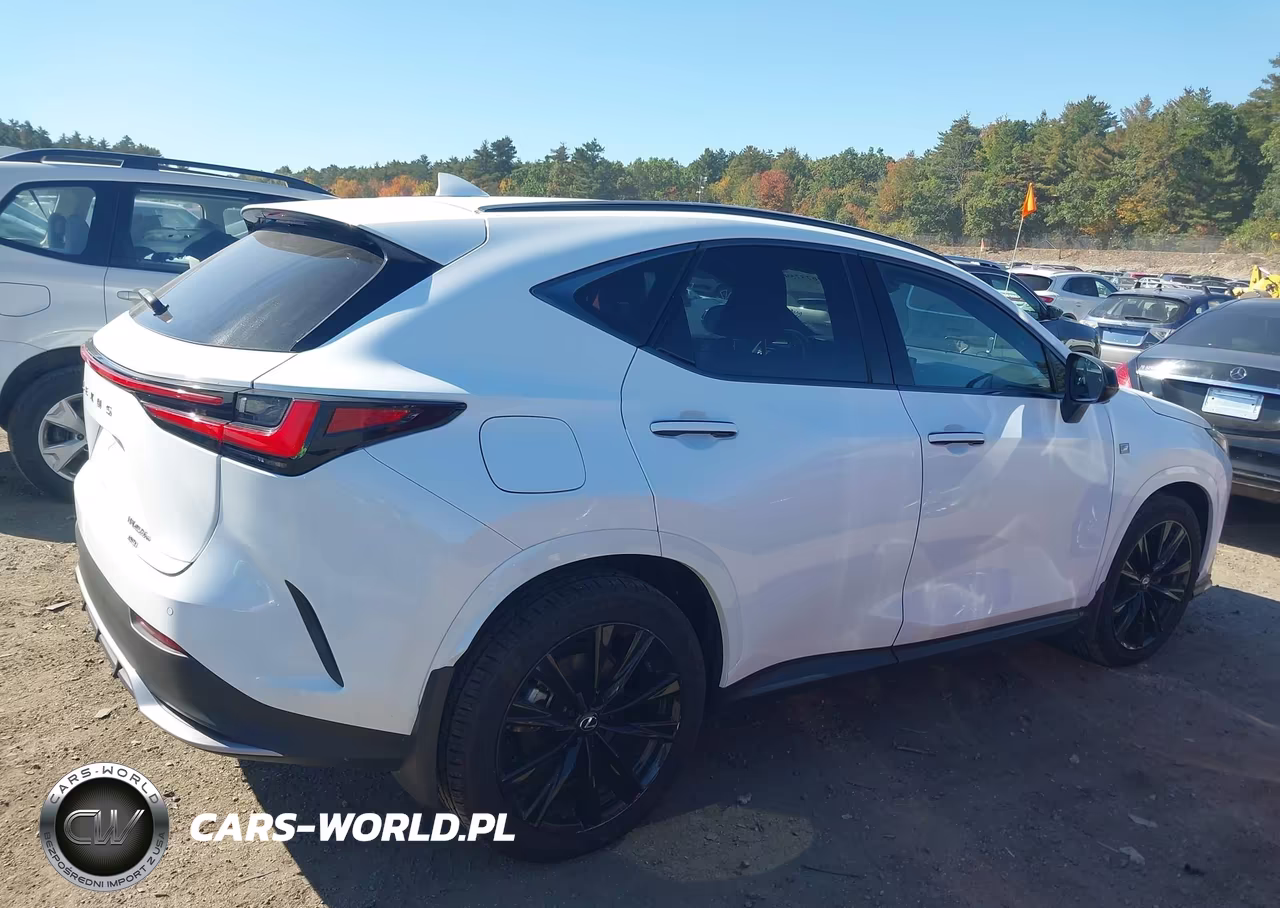 2024 Lexus Nx 450H Luxury VIN:JTJKKCFZ2R2026396 - 4