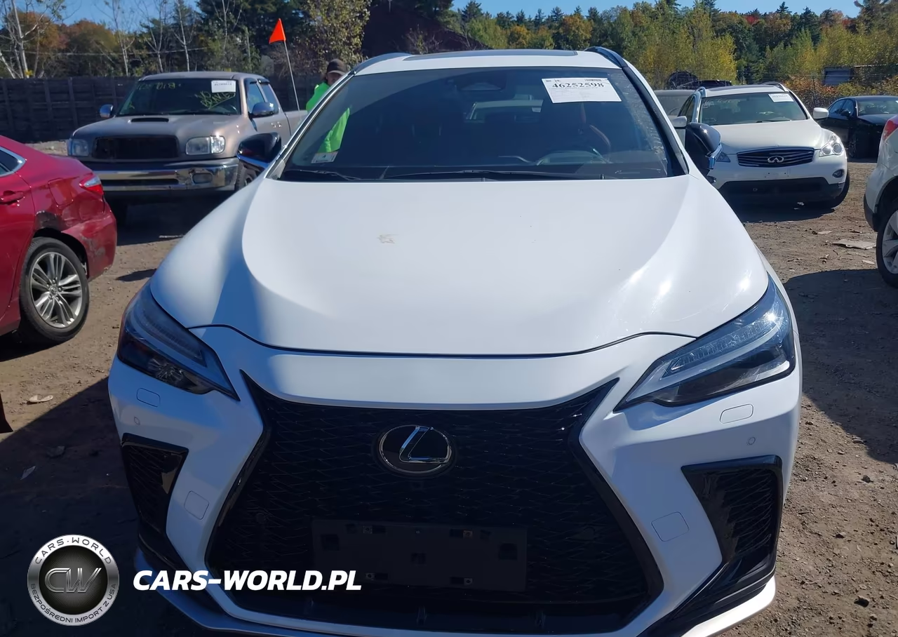 2024 Lexus Nx 450H Luxury VIN:JTJKKCFZ2R2026396 - 6