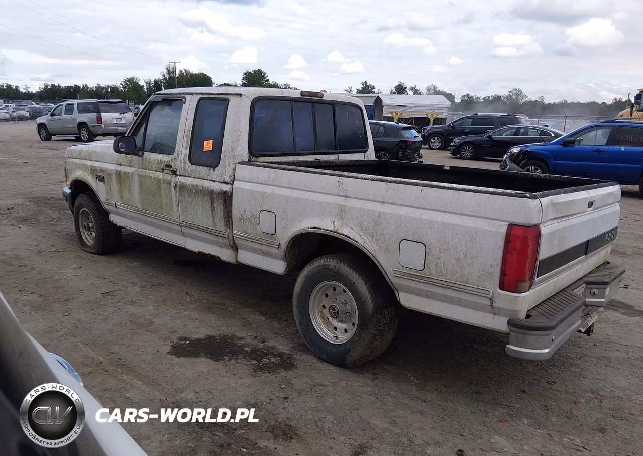1995 Ford F150 VIN:1FTEX14H0SKB07581 - 3